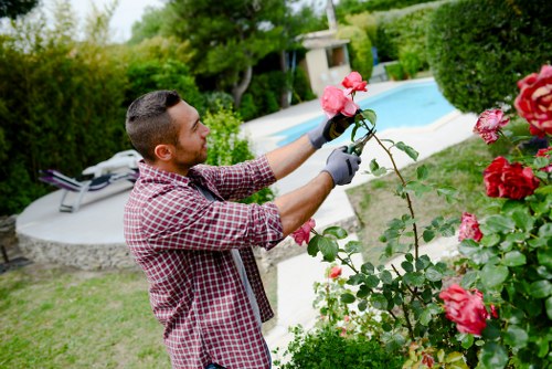 Gardener preparing lawn mower for service