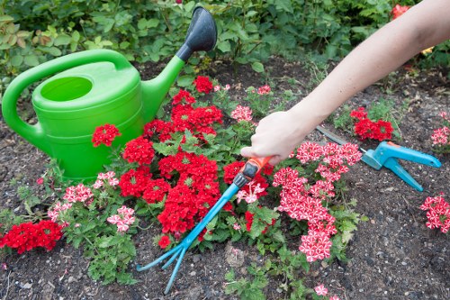 Pest management in a lush Carshalton garden
