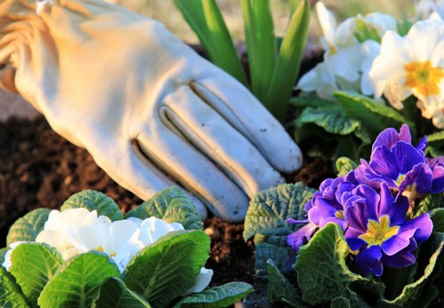 Seasonal garden care activities in Carshalton