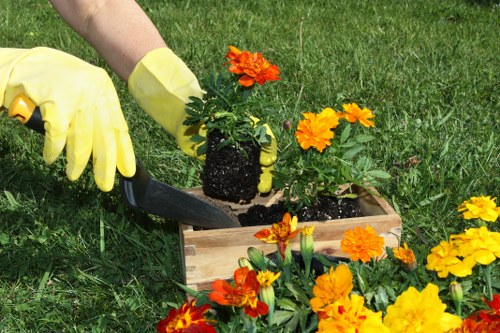 Healthy soil and fertilization process